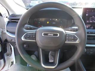 JEEP Compass usata, con Cronologia tagliandi