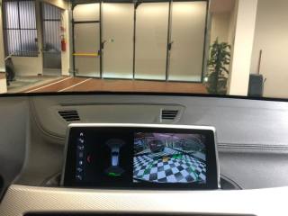 BMW X1 usata, con Fari LED