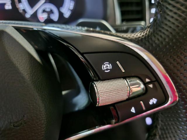SKODA Kodiaq usata, con Controllo vocale