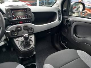 FIAT Panda usata 21