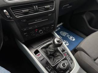 AUDI Q5 usata, con Fendinebbia