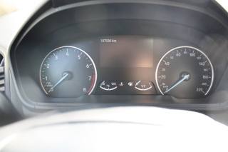 FORD EcoSport usata, con Airbag testa