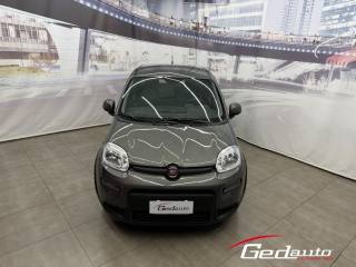 FIAT Panda usata, con Airbag