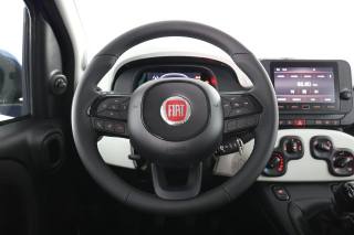 FIAT Panda usata 5