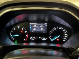 FORD Focus usata, con Fendinebbia