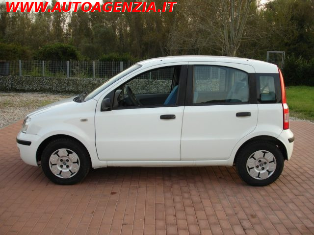 FIAT Panda usata 2