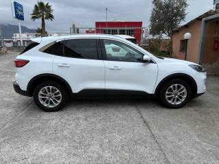 FORD Kuga usata, con Cronologia tagliandi