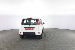 FIAT Panda usata 4