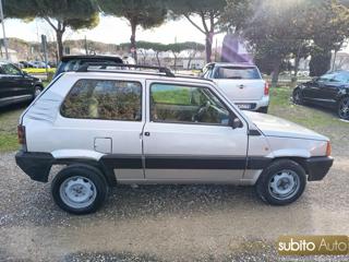 FIAT Panda usata 20