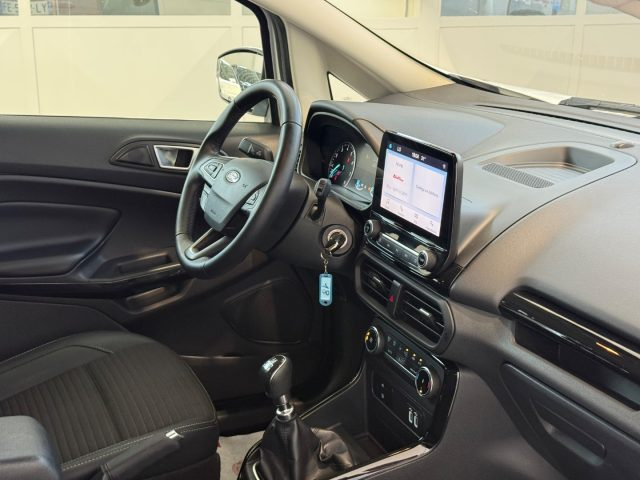 FORD EcoSport usata, con Bracciolo