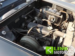 FIAT 1100 usata 33