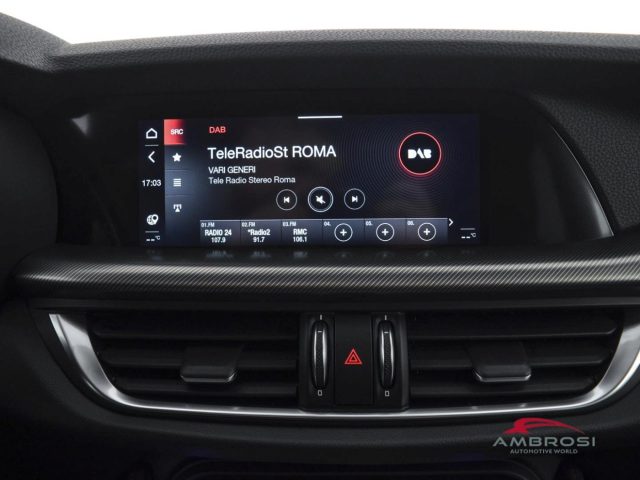 ALFA ROMEO Stelvio usata 13