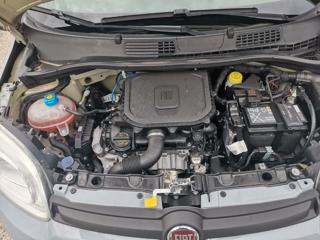 FIAT Panda usata 18