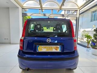 FIAT Panda usata, con Airbag Passeggero