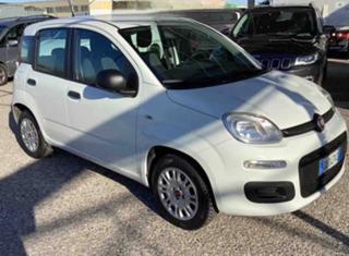 FIAT Panda usata, con Airbag Passeggero