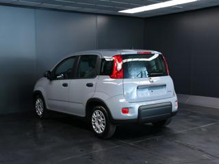 FIAT Panda usata, con Antifurto