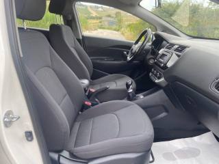 KIA Rio usata, con Fari LED