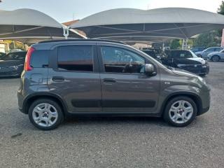 FIAT Panda usata, con Chiusura centralizzata