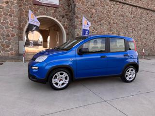 FIAT Panda usata 43