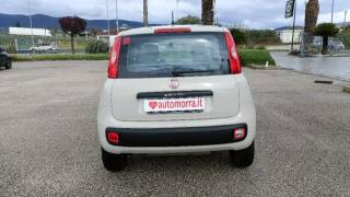 FIAT Panda usata, con Climatizzatore