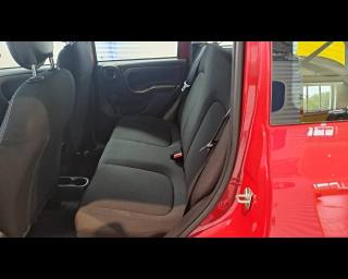 FIAT New Panda usata 11