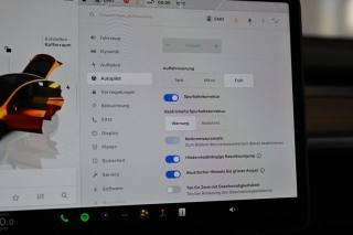 TESLA Model Y usata, con Cruise Control