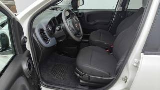 FIAT New Panda usata, con Sensore di pioggia
