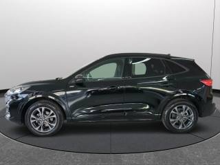 FORD Kuga usata, con Sensori di parcheggio posteriori