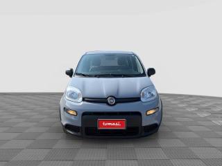 FIAT Panda usata 7