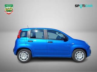FIAT Panda usata, con Antifurto