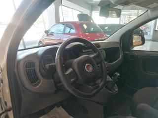 FIAT Panda usata 37