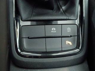 SKODA Kamiq usata, con Specchietti laterali elettrici