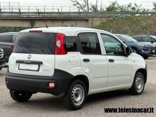 FIAT Panda usata, con Climatizzatore