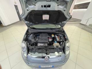 FIAT Punto Evo usata 26