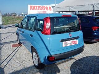 FIAT Panda usata, con ESP