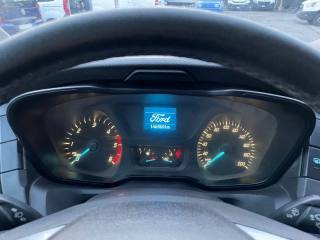 FORD Transit usata, con Fendinebbia