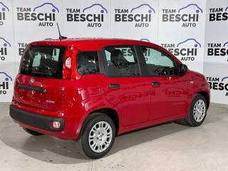 FIAT New Panda usata, con Alzacristalli elettrici