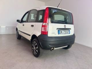 FIAT Panda usata 14