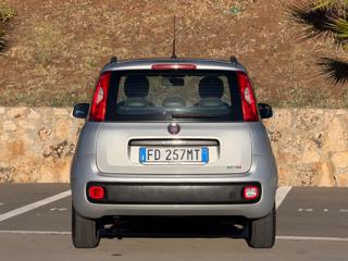 FIAT Panda usata, con Cerchi in lega