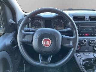 FIAT Panda usata, con Airbag testa