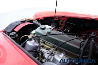 AUSTIN Healey usata 57