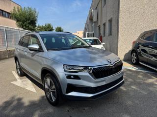 SKODA Karoq usata, con Airbag