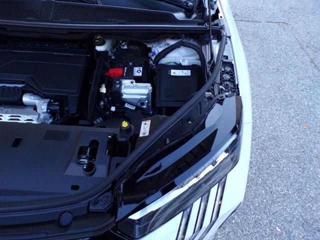 PEUGEOT 3008 usata 109