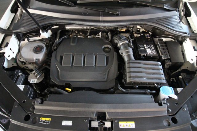 VOLKSWAGEN Tiguan usata, con Chiusura centralizzata