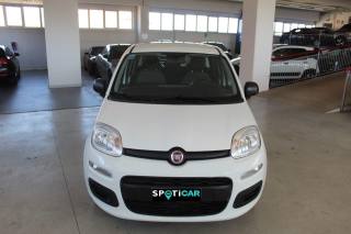 FIAT Panda usata, con Airbag