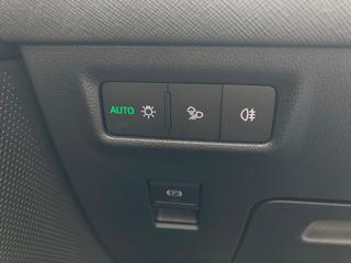 SKODA Kodiaq usata, con Park Distance Control