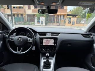 SKODA Octavia usata 11