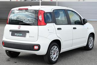 FIAT Panda usata, con Antifurto