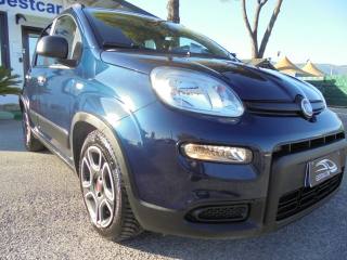 FIAT Panda usata 16