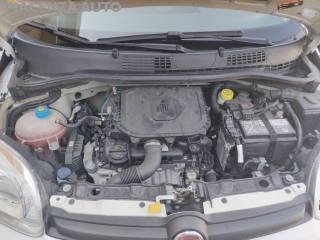 FIAT Panda usata, con Monitoraggio pressione pneumatici